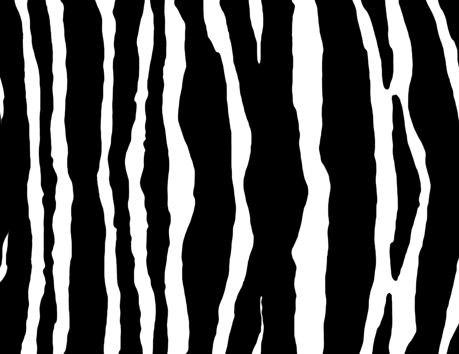 zebra print pattern free photo