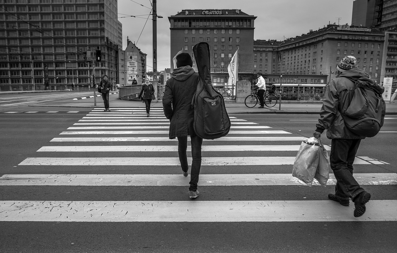 zebra person crossing free photo