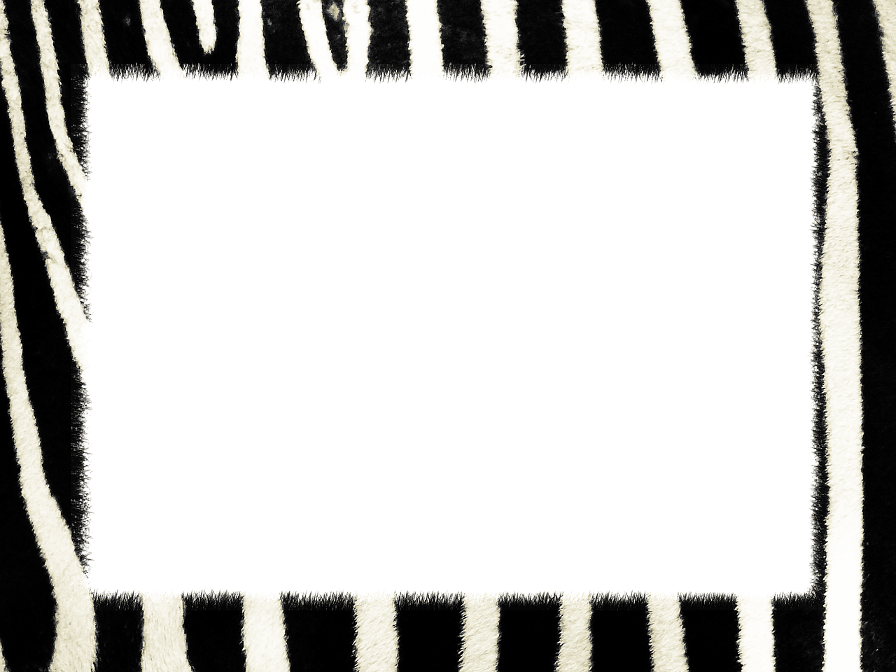 zebra texture zebra animal skin free photo