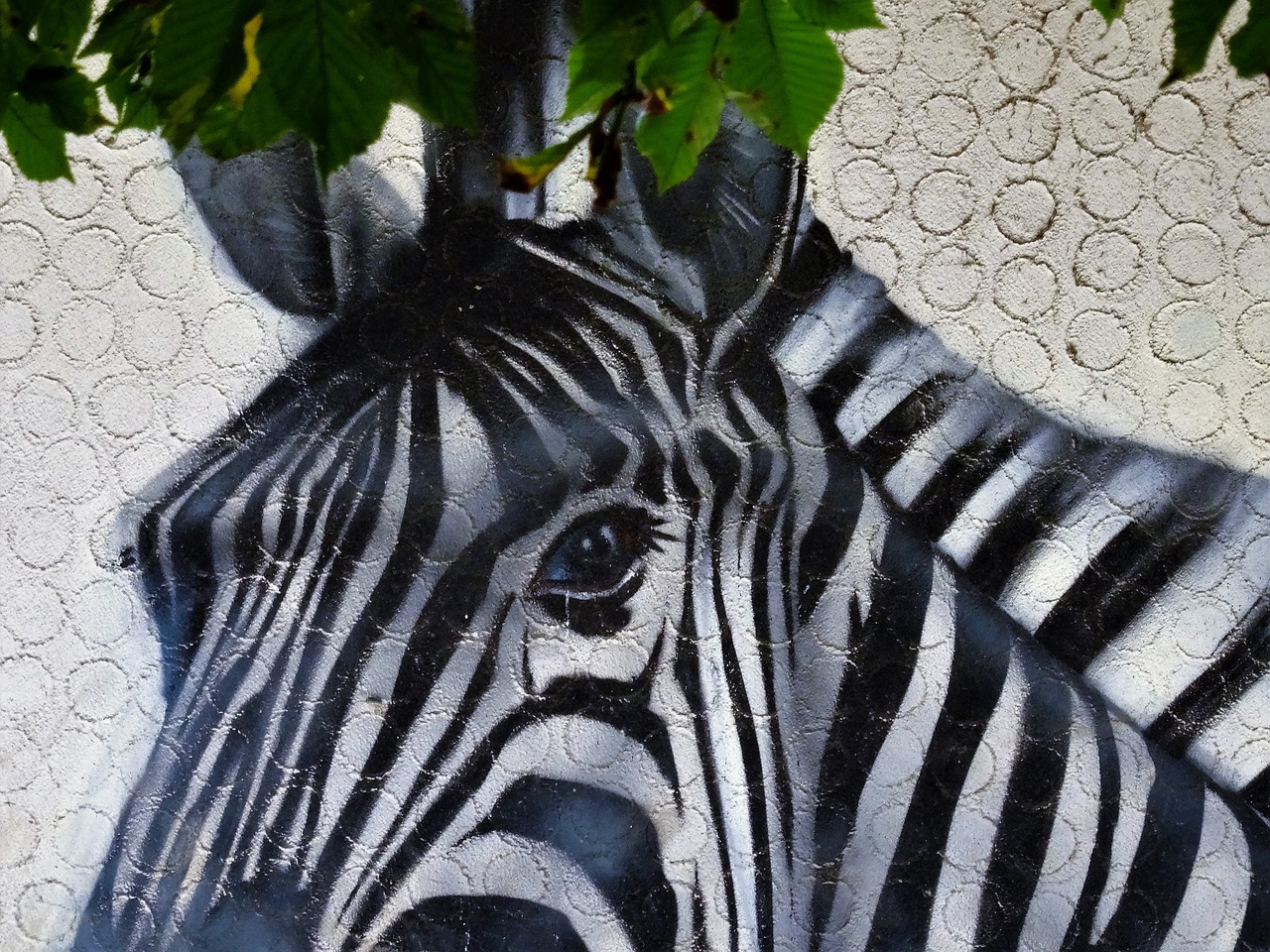 zebra painting mural free photo