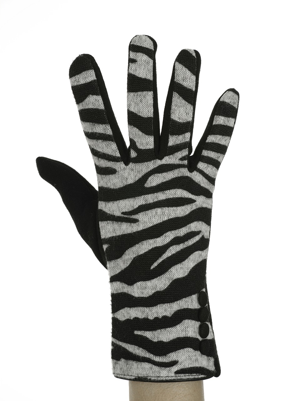 zebra black glove free photo