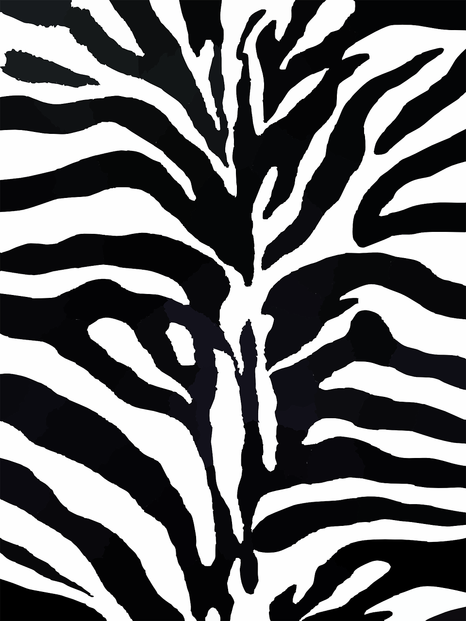 zebra pattern design free photo