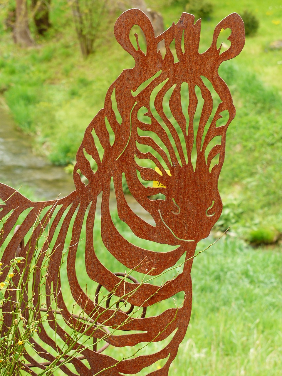 zebra animal metal free photo