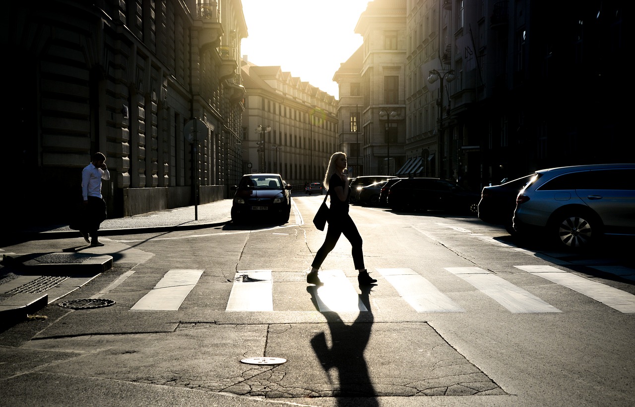 zebra  path  traffic free photo