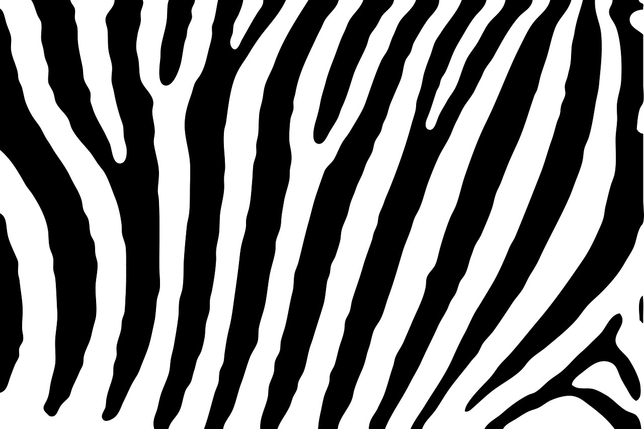 zebra skin pattern free photo