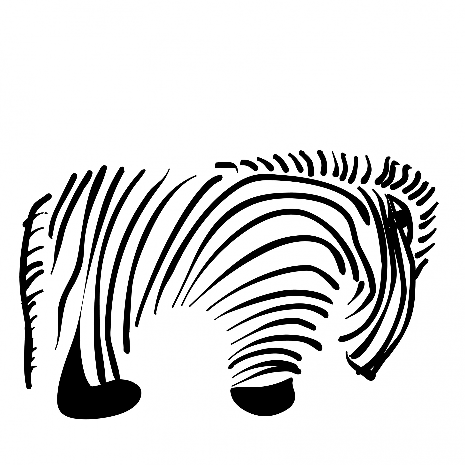 zebra logo symbol free photo