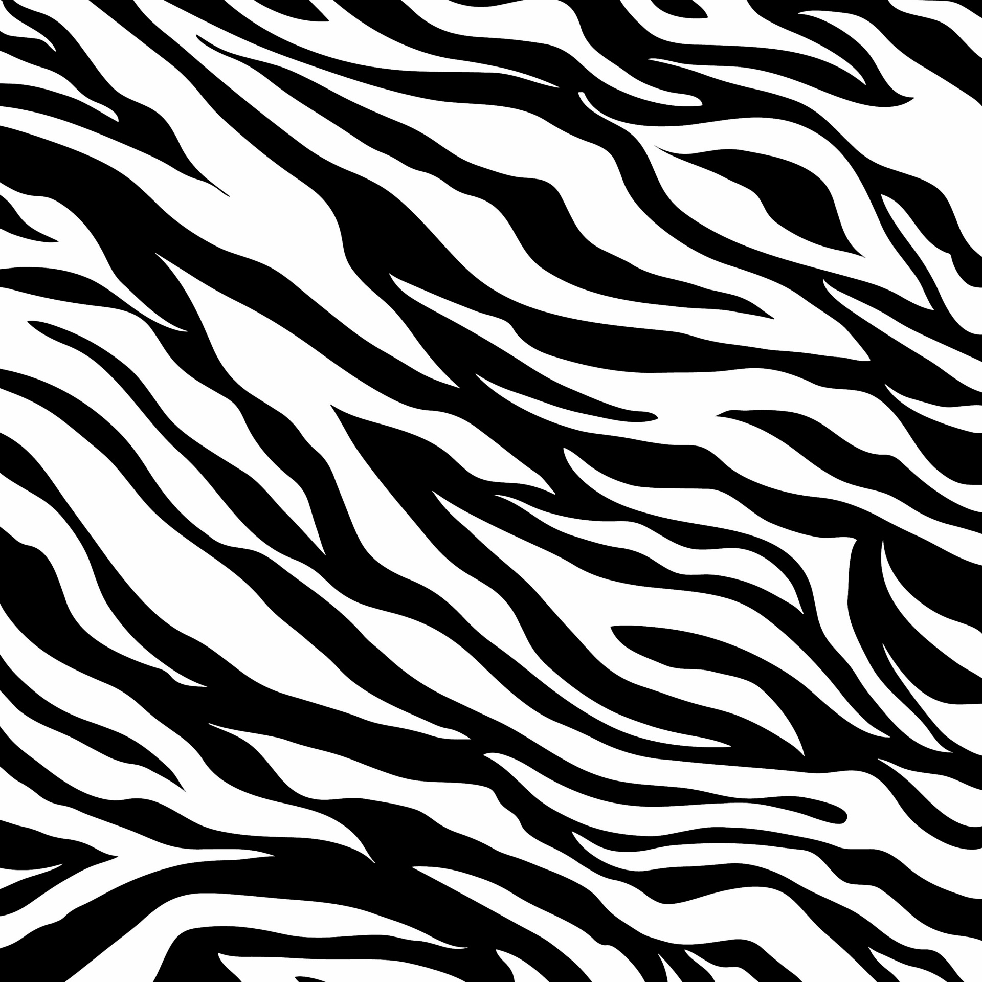 zebra zebra skin animal free photo