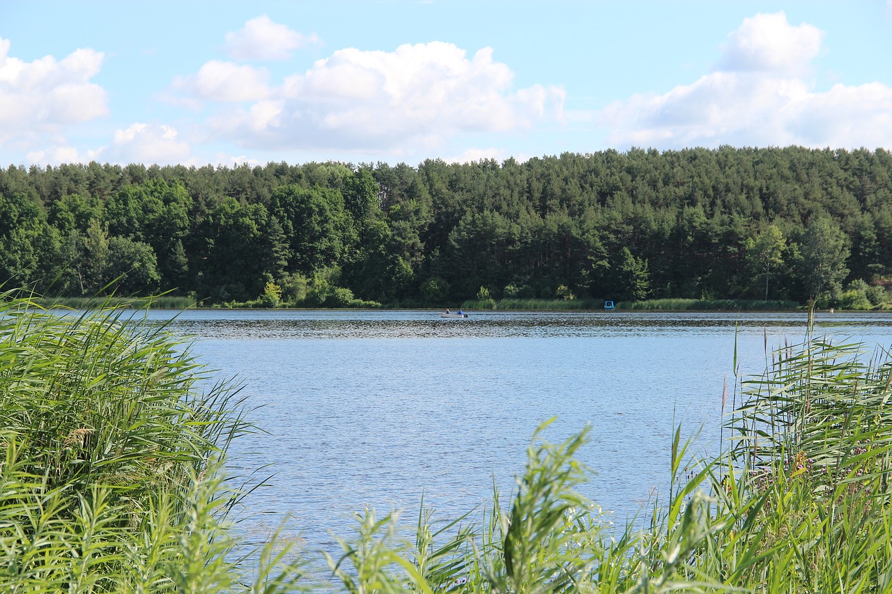 zegrzyński water landscape free photo