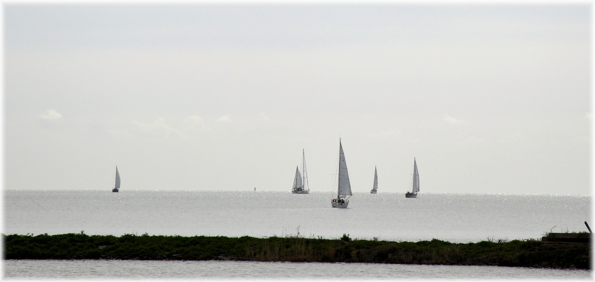 sailing boats markermeer free photo