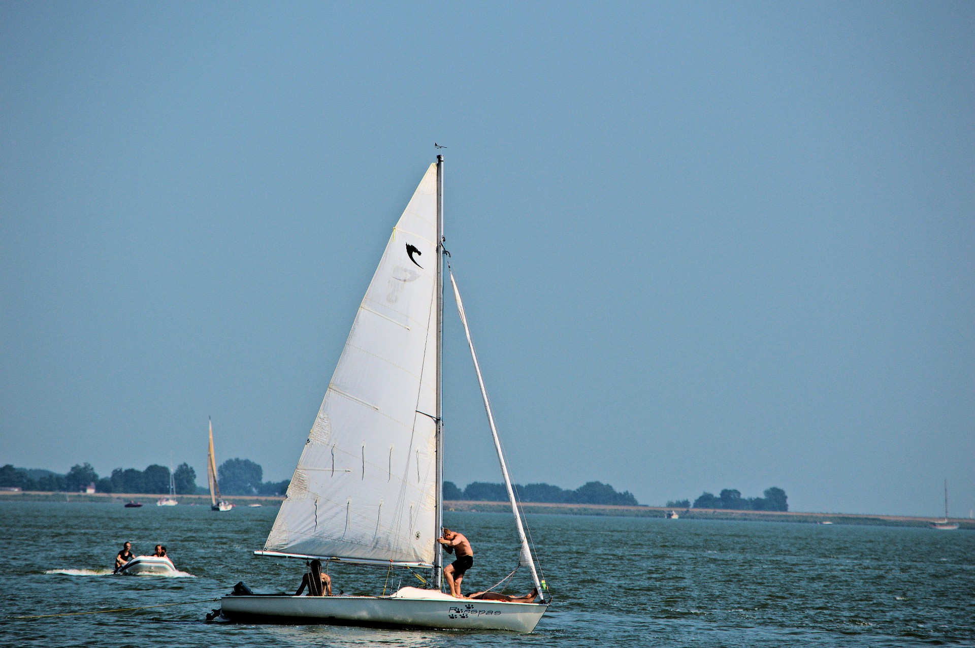 watersports sailing ships sailing free photo