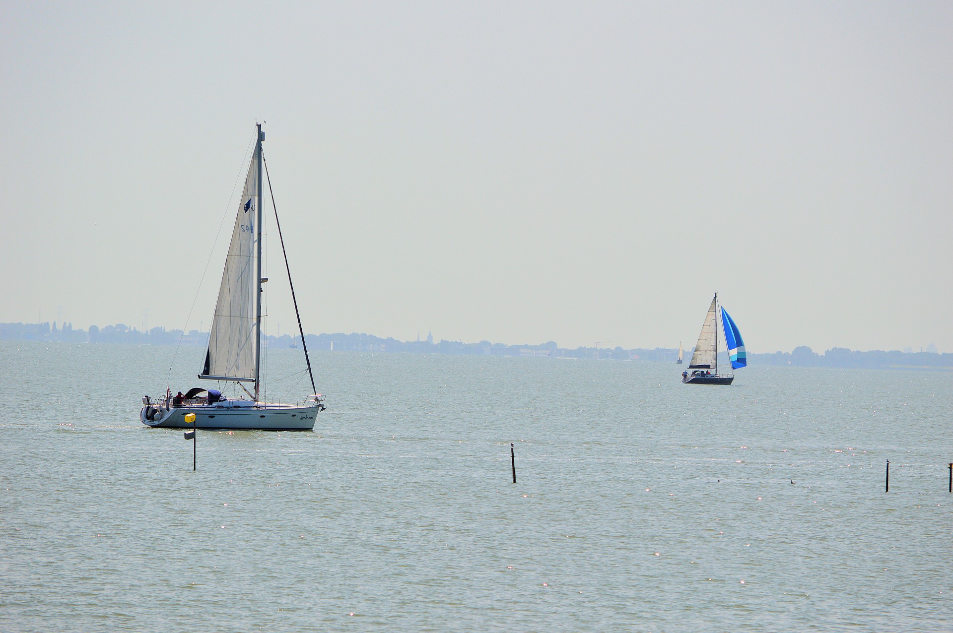 sailboat sail water sports free photo