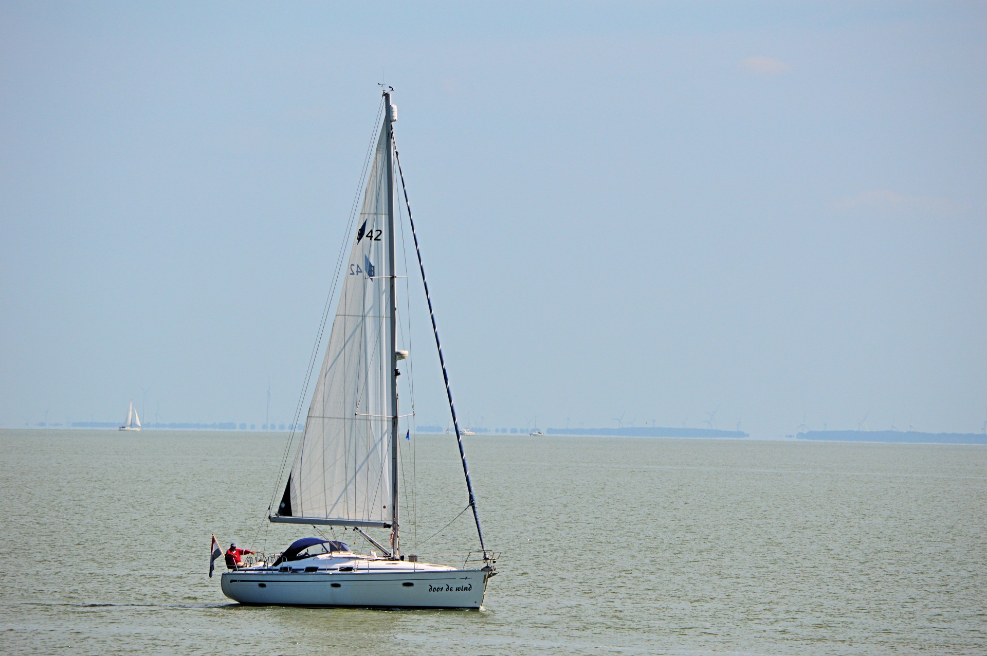 sailboat sail water sports free photo