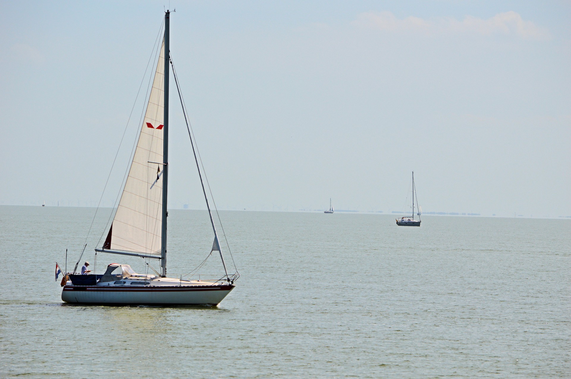 sailboat sail water sports free photo