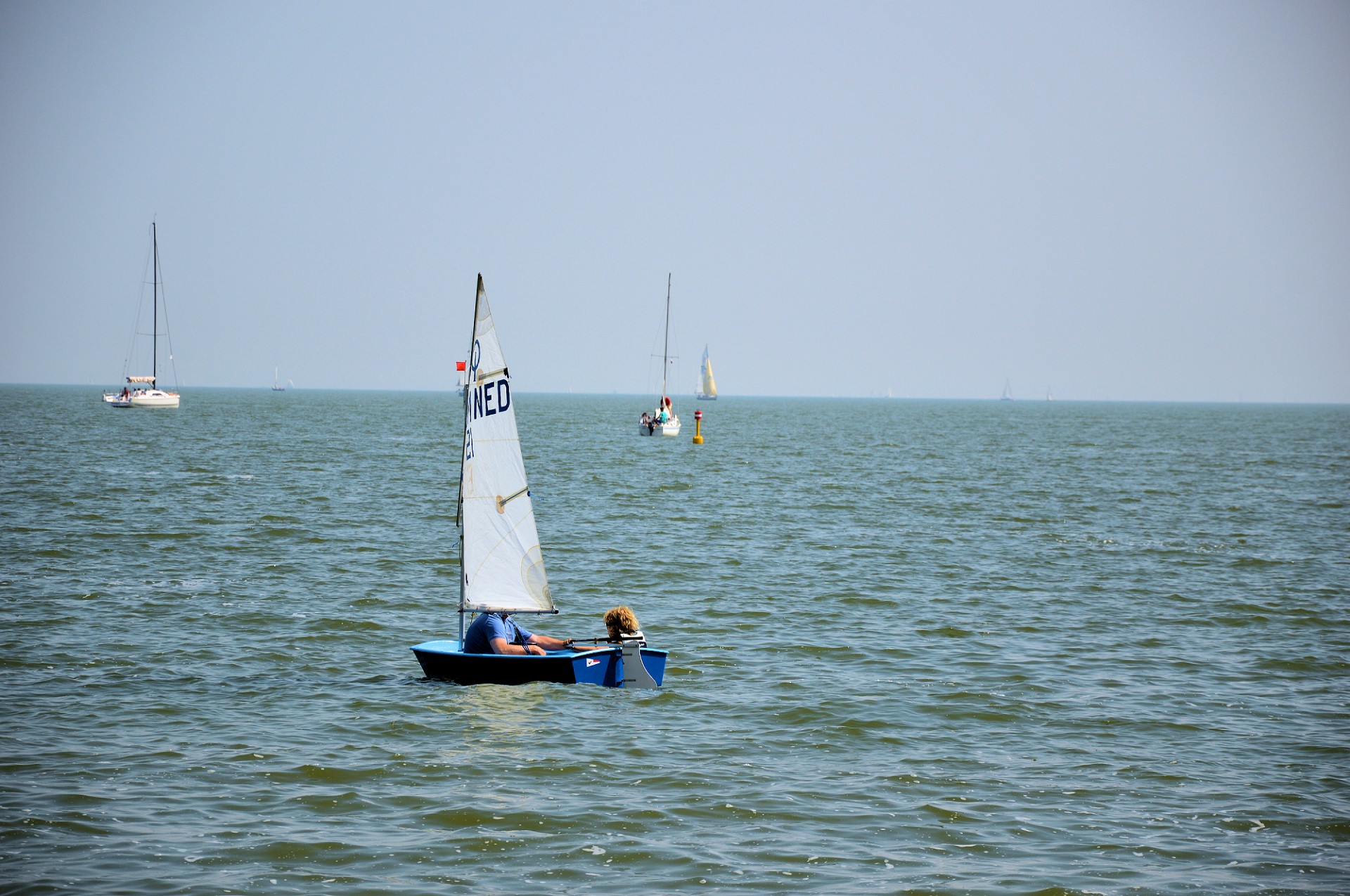 sailboat sail water sports free photo