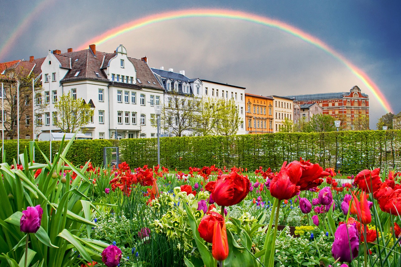 zeitz saxony-anhalt germany free photo