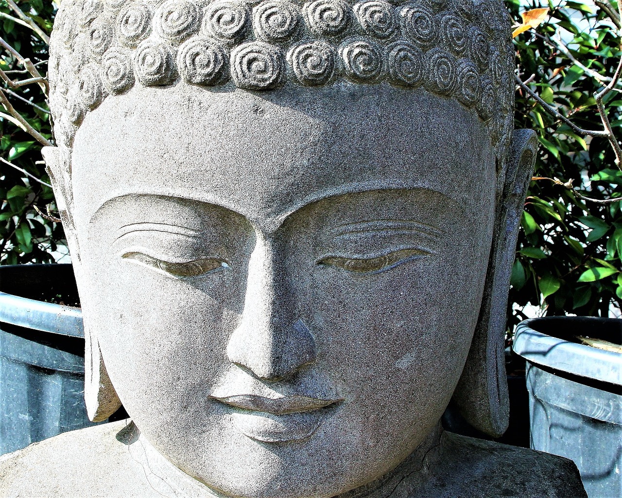 zen meditation buddha free photo