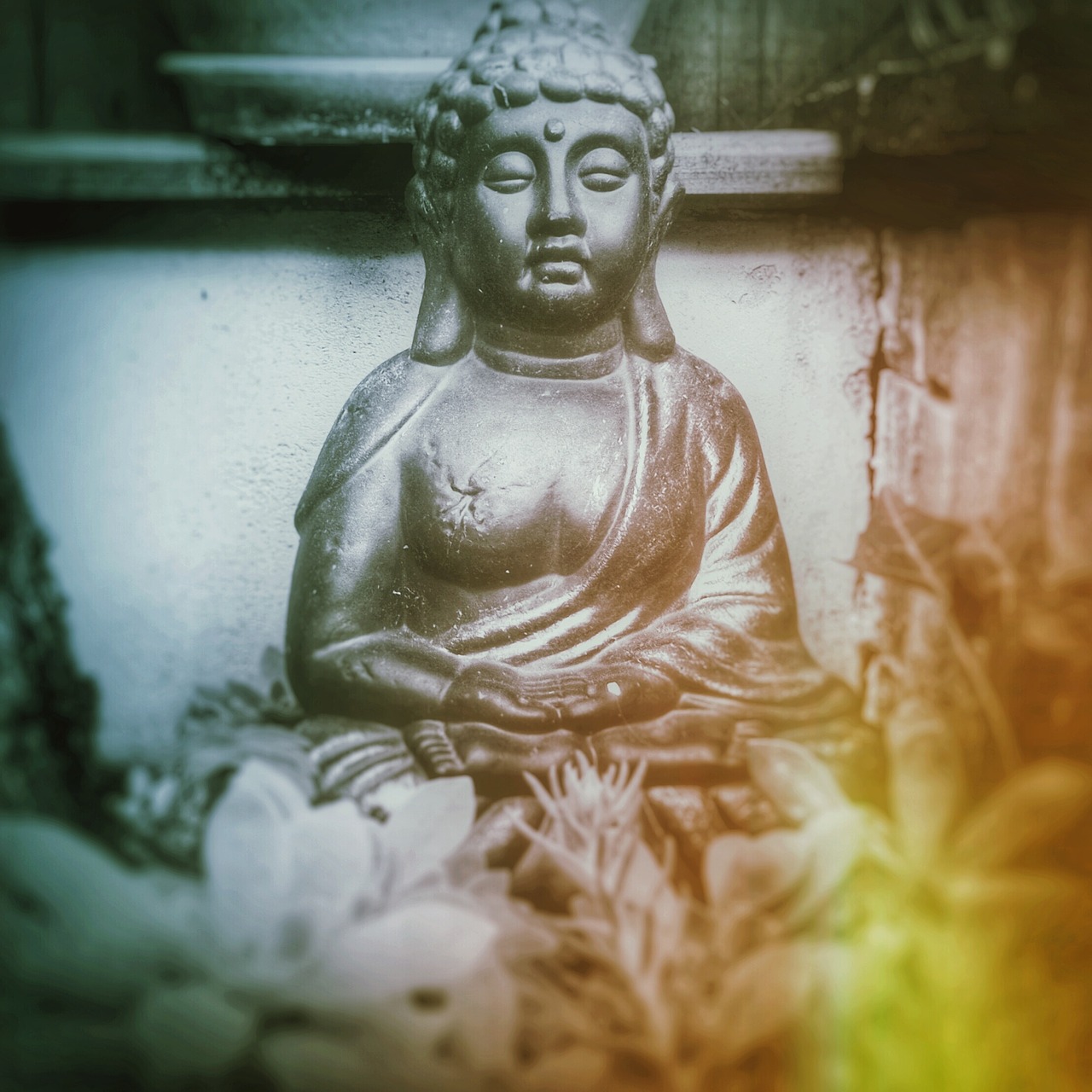 zen meditation buddha free photo