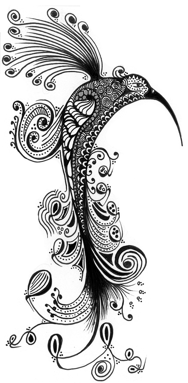 zentangle  drawing  design free photo