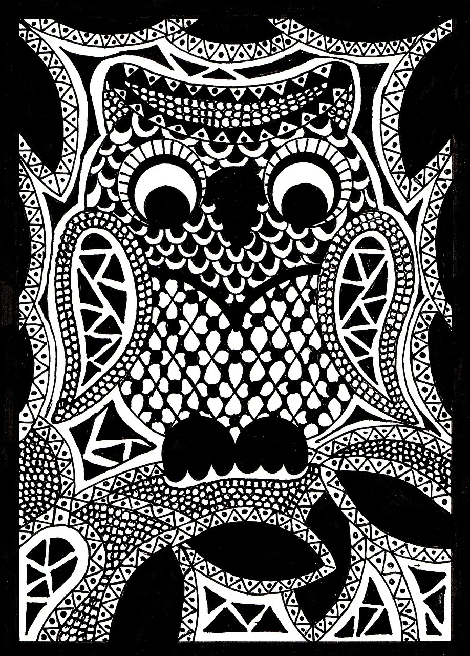 zentangle pictures drawing owl free photo