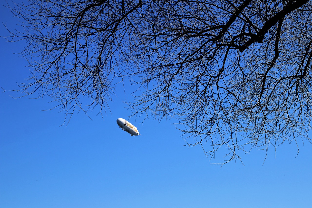 zeppelin tree view free photo