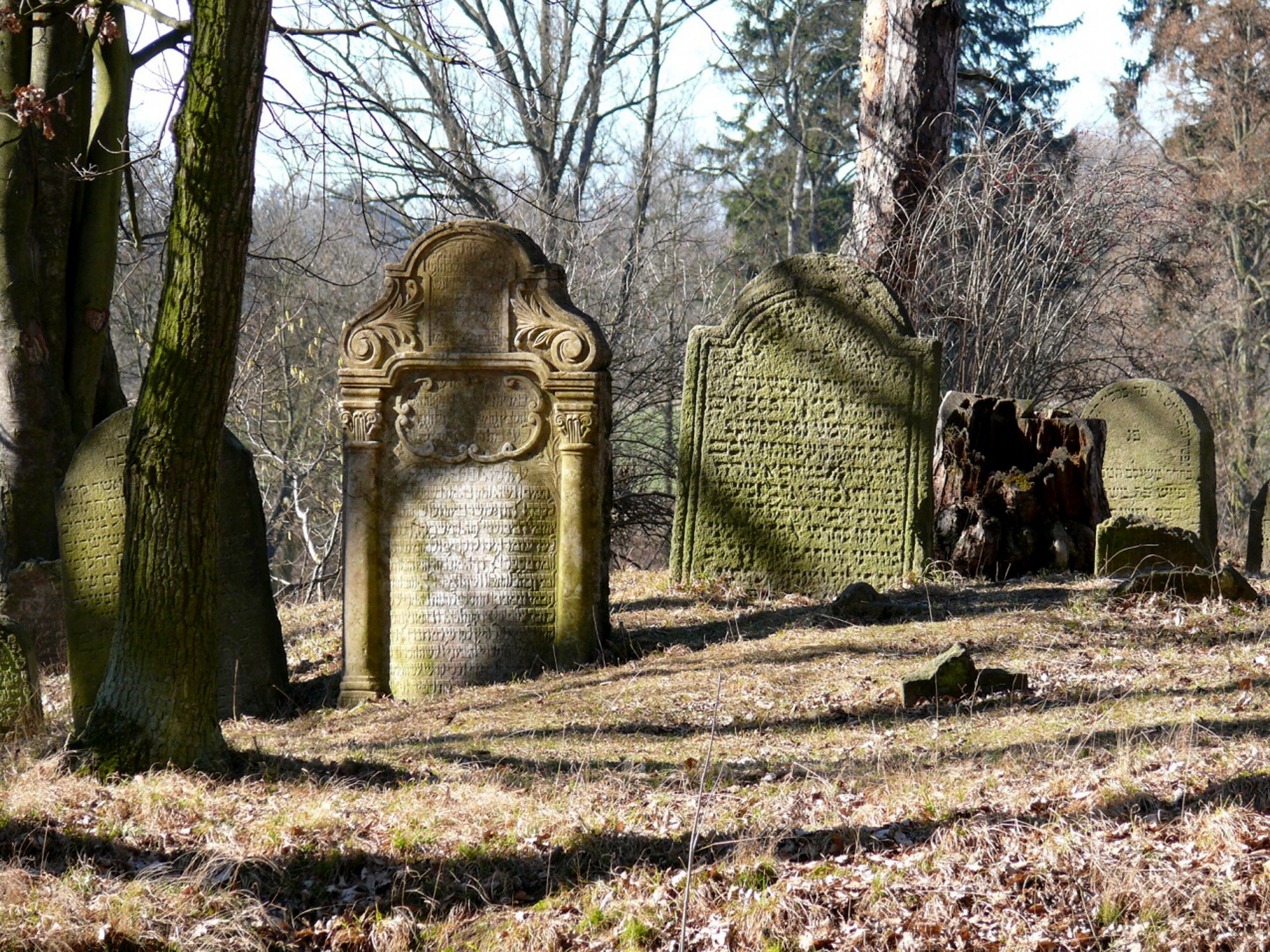 cemetery gravestone grave free photo
