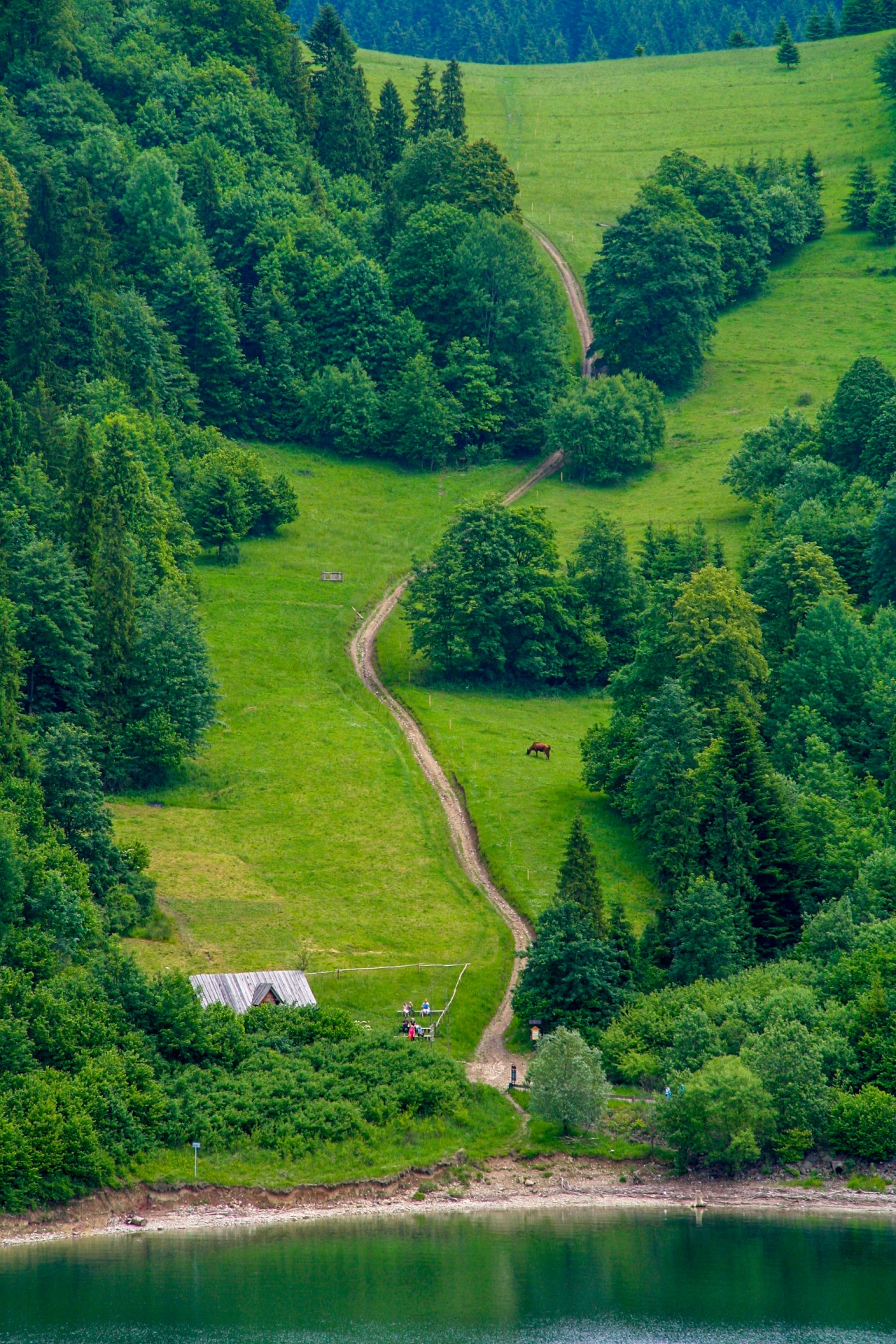 green mountains grass free photo