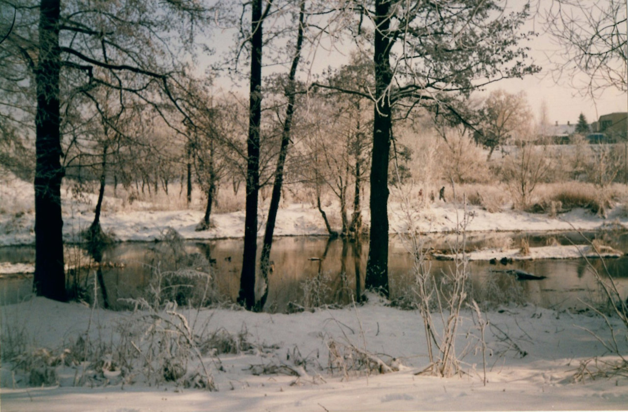 winter lublin winter in 2004 free photo