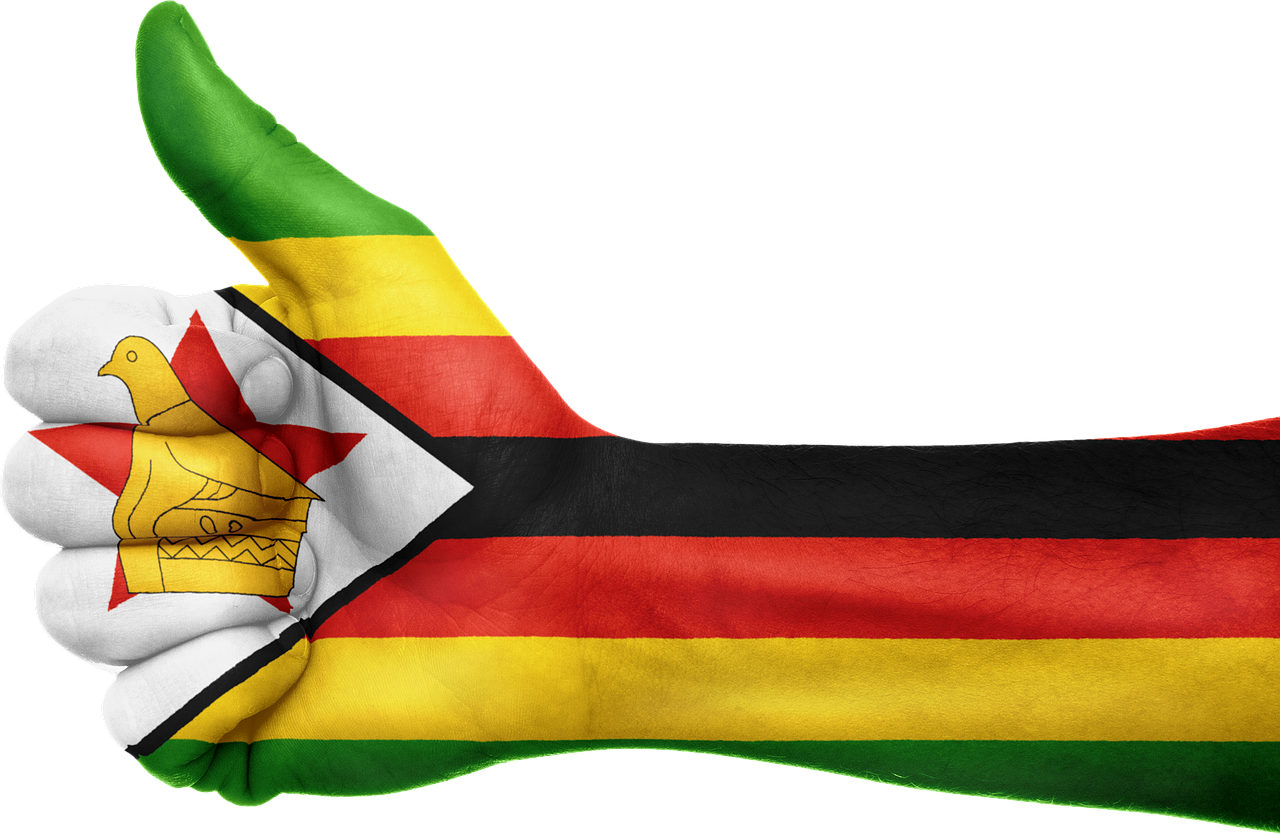 zimbabwe flag hand free photo