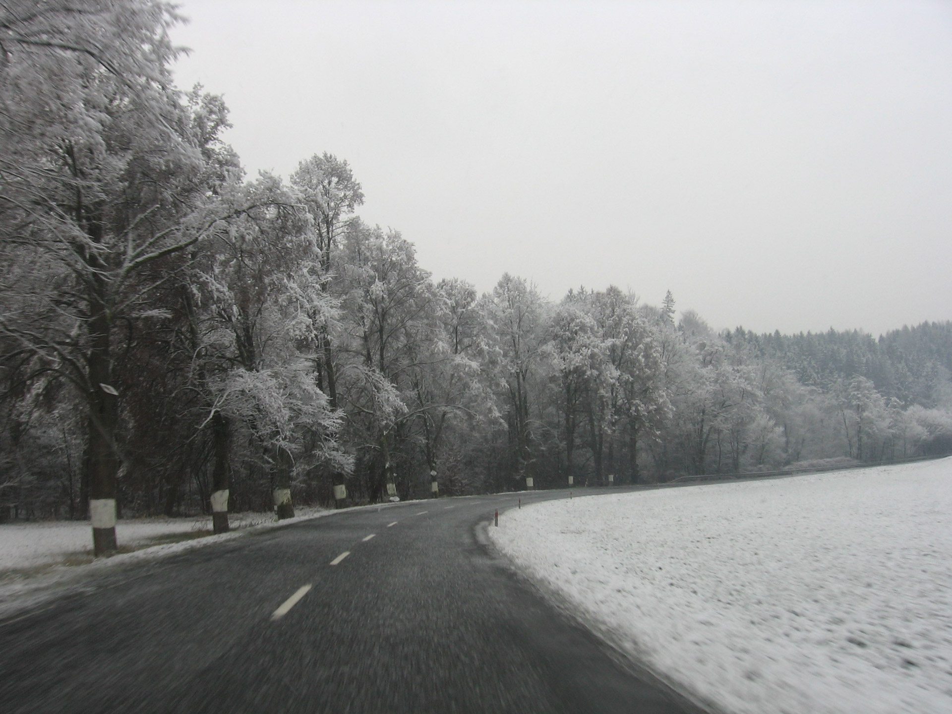 road winter trees free photo