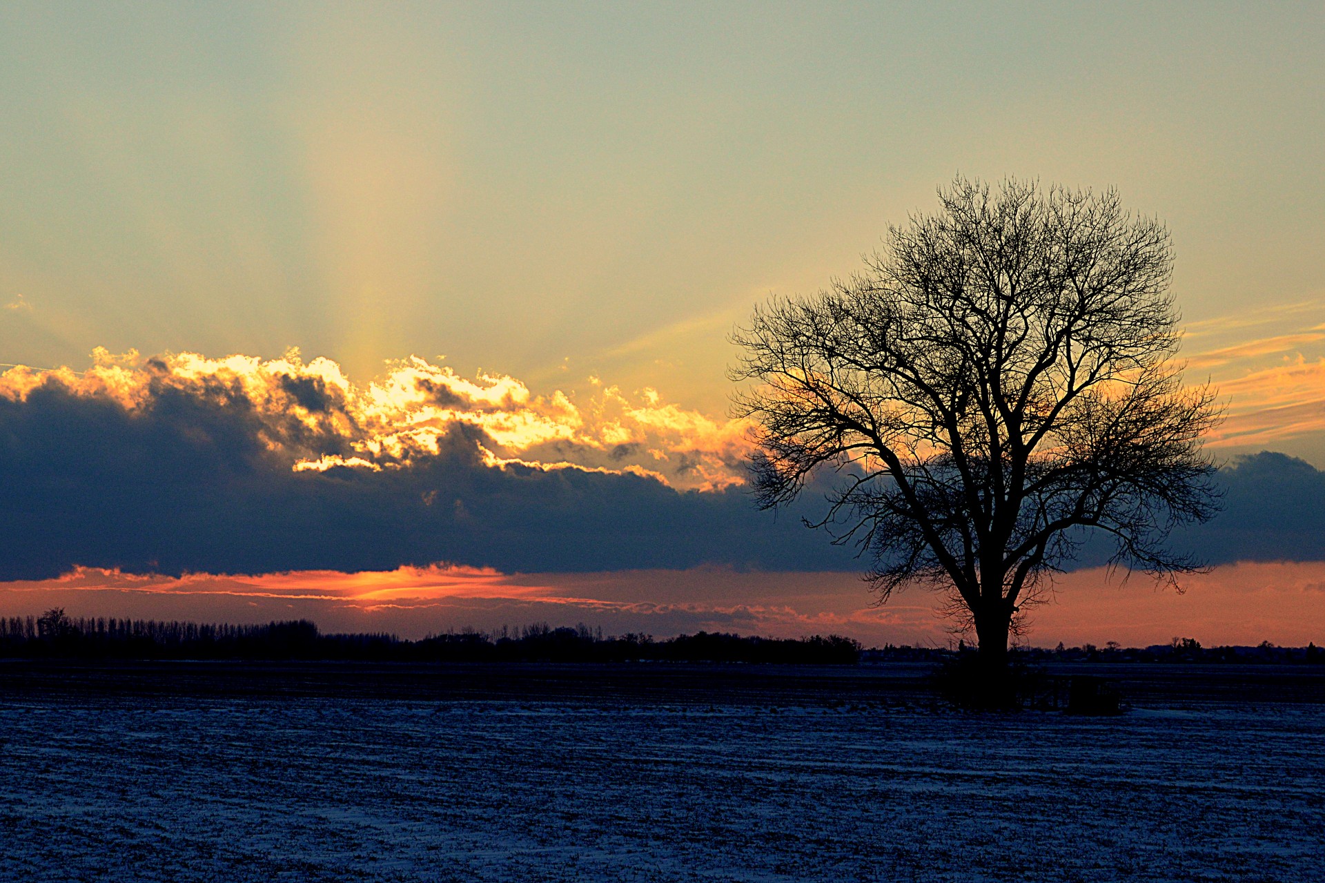 cold sun sunset free photo