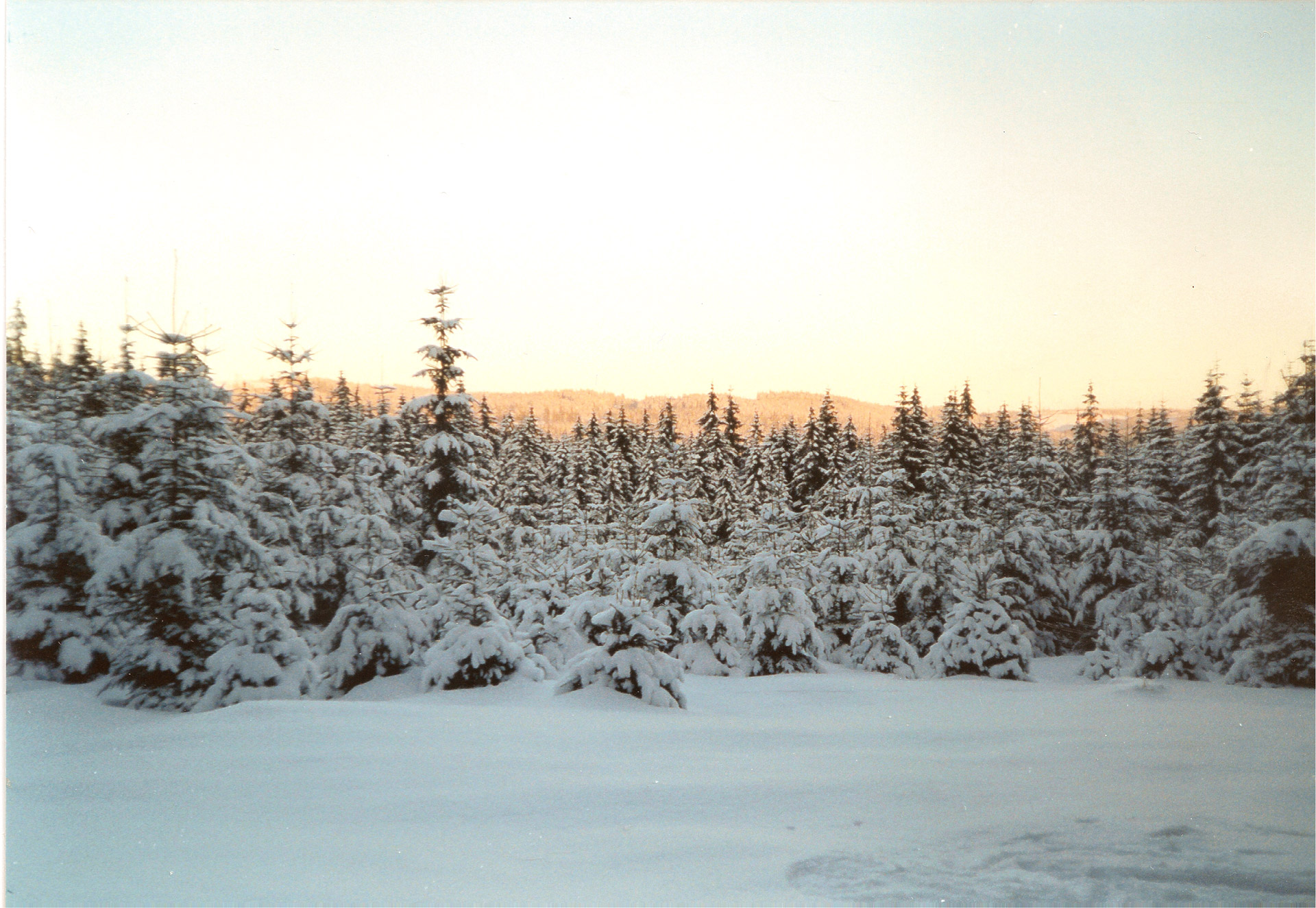 ore mountains winter free photo