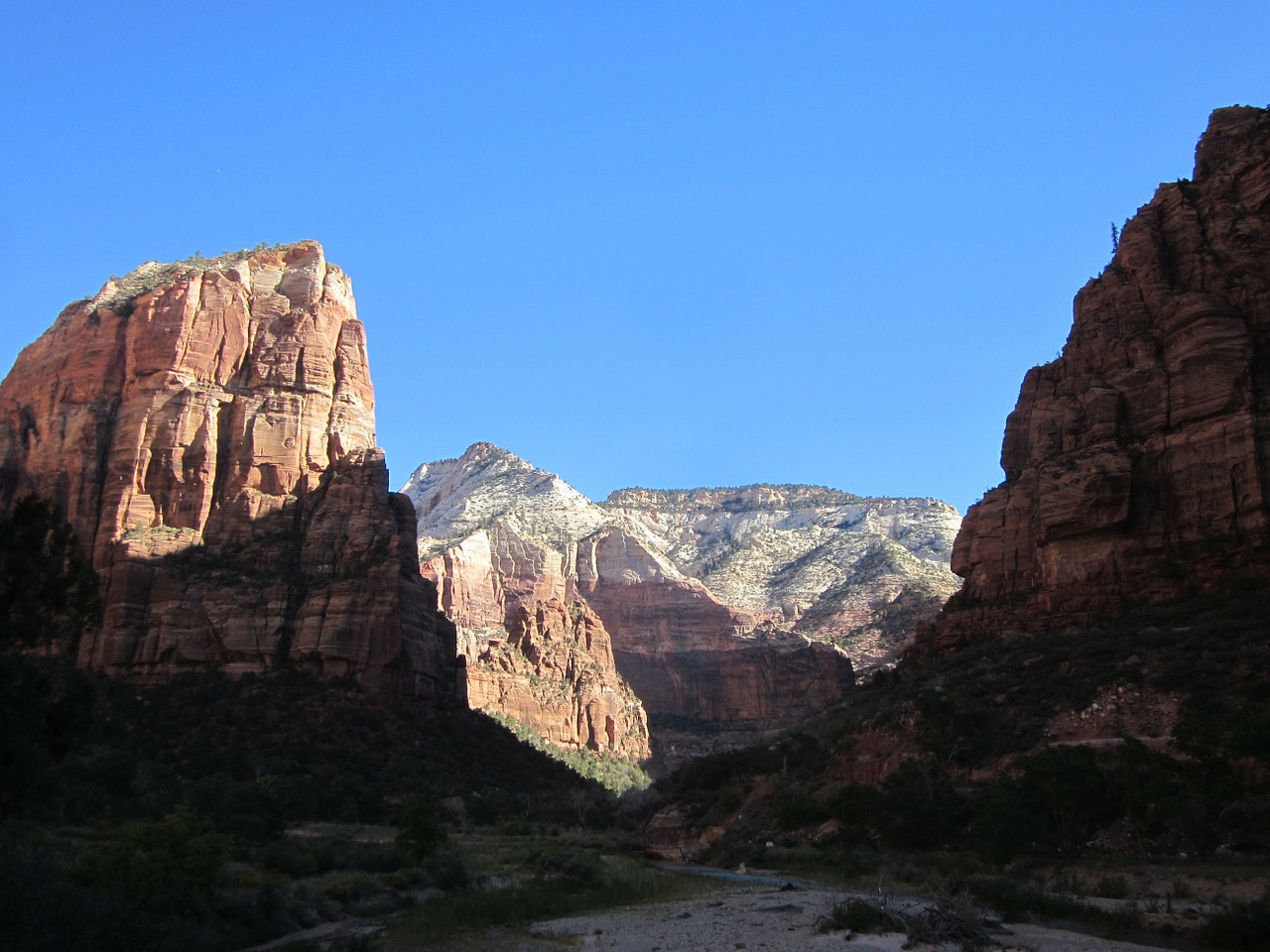 zion canyons zion national park free photo