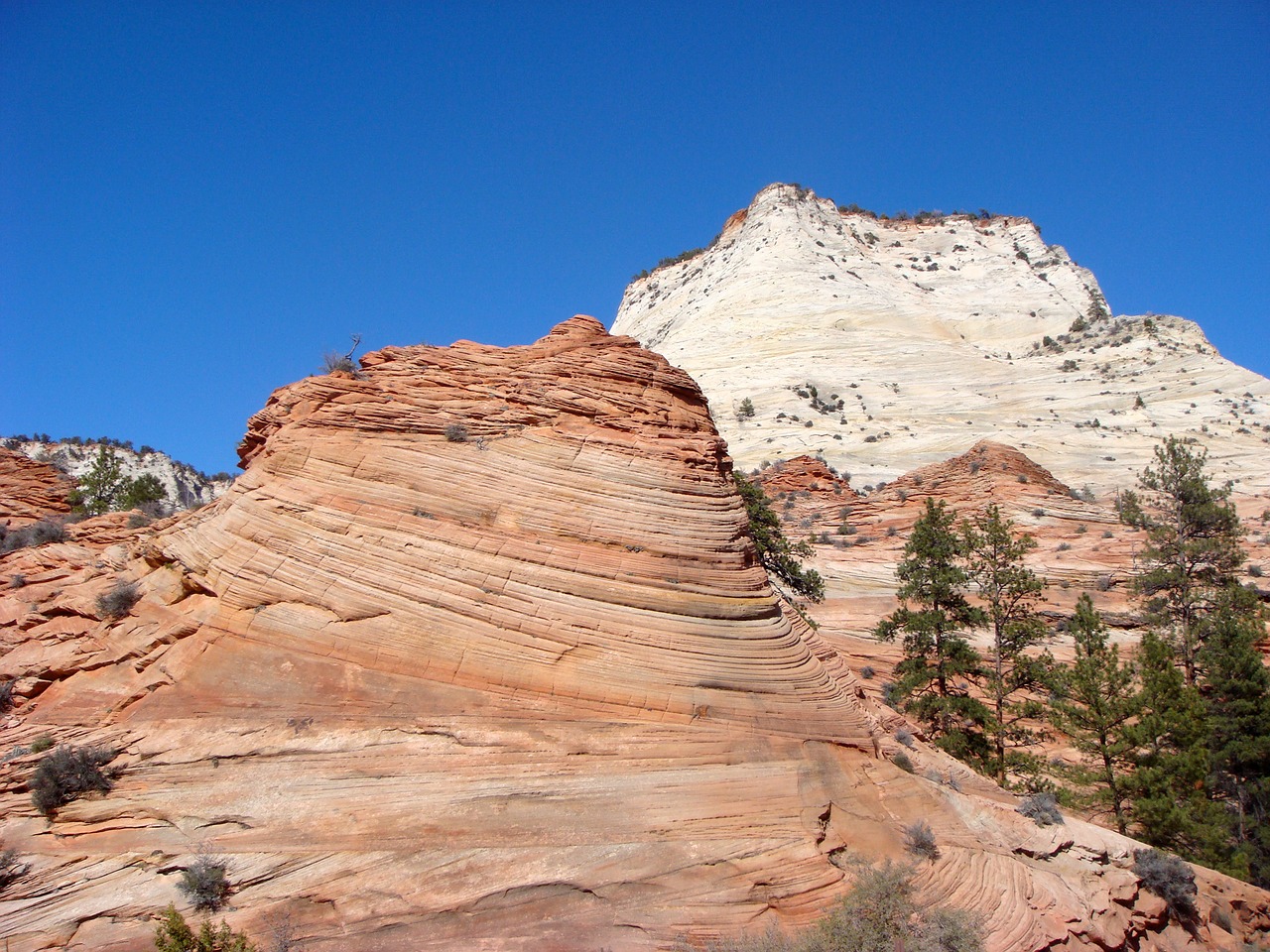 zion national park national park rock formation free photo