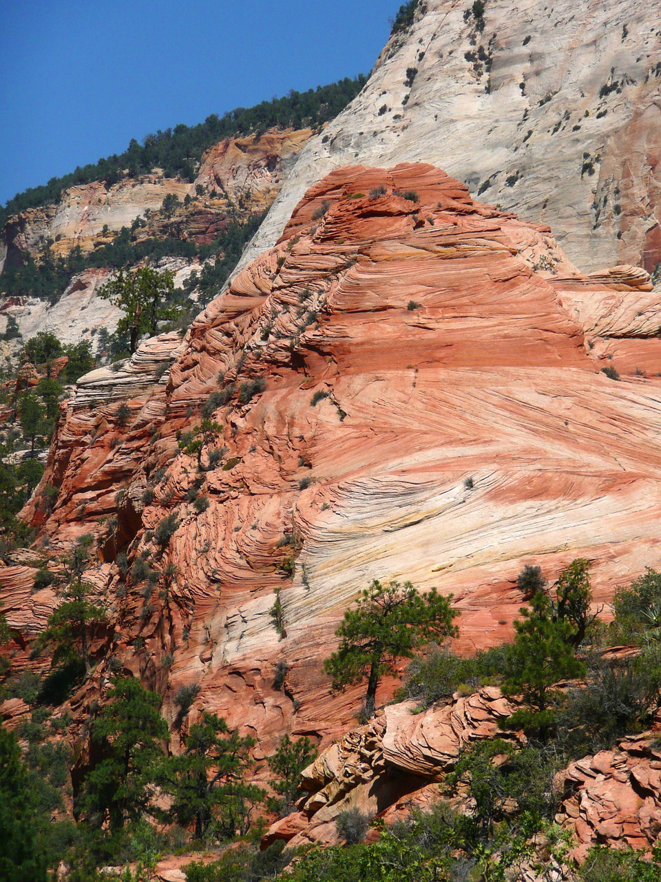 zion national park utah usa free photo