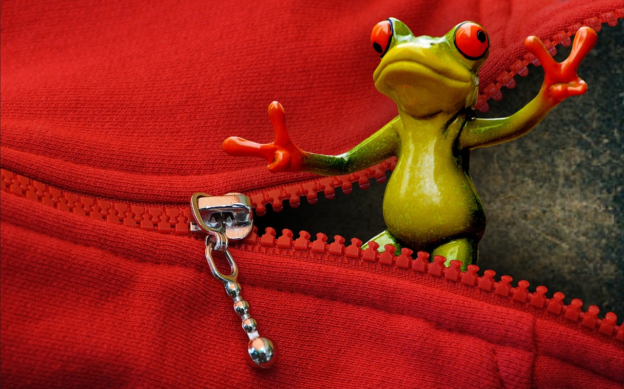 zip open frog free photo