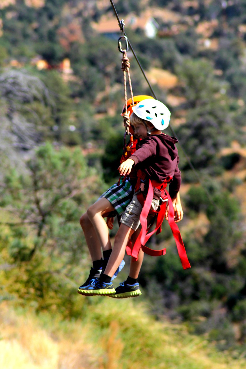 zip line children kids free photo