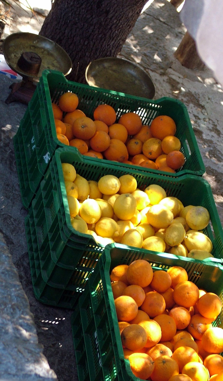 lemons oranges boxes free photo