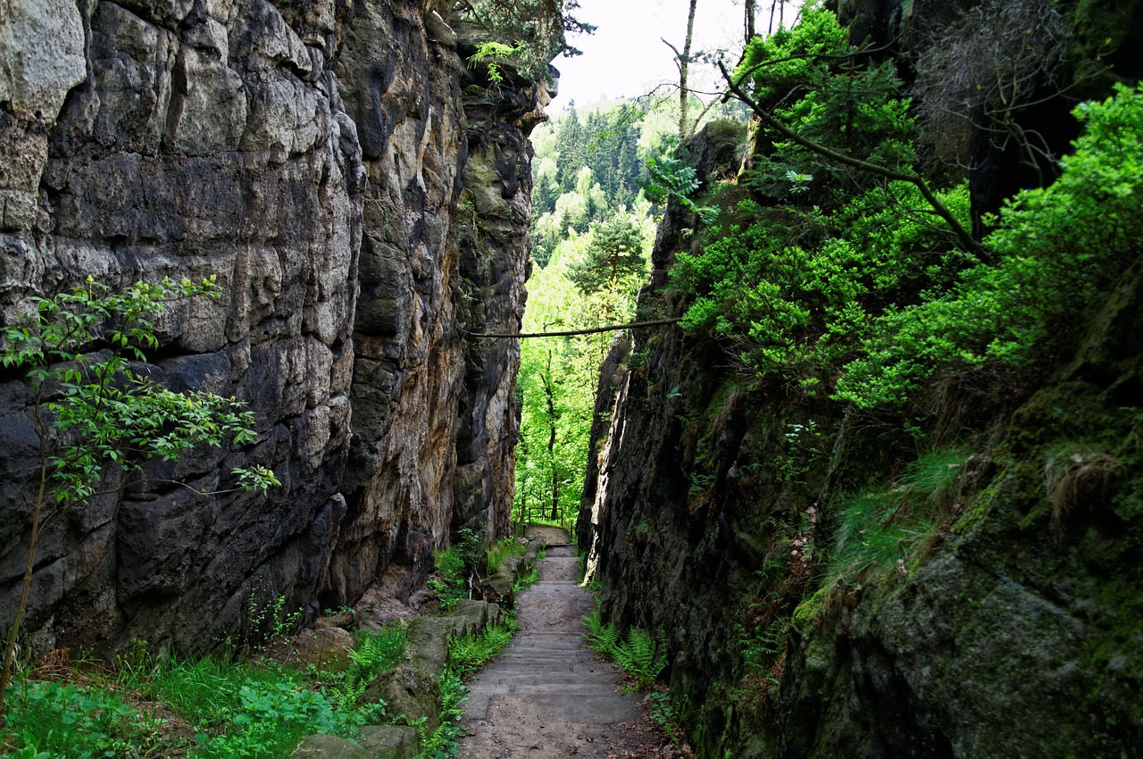 zittau mountains nun rocks free photo