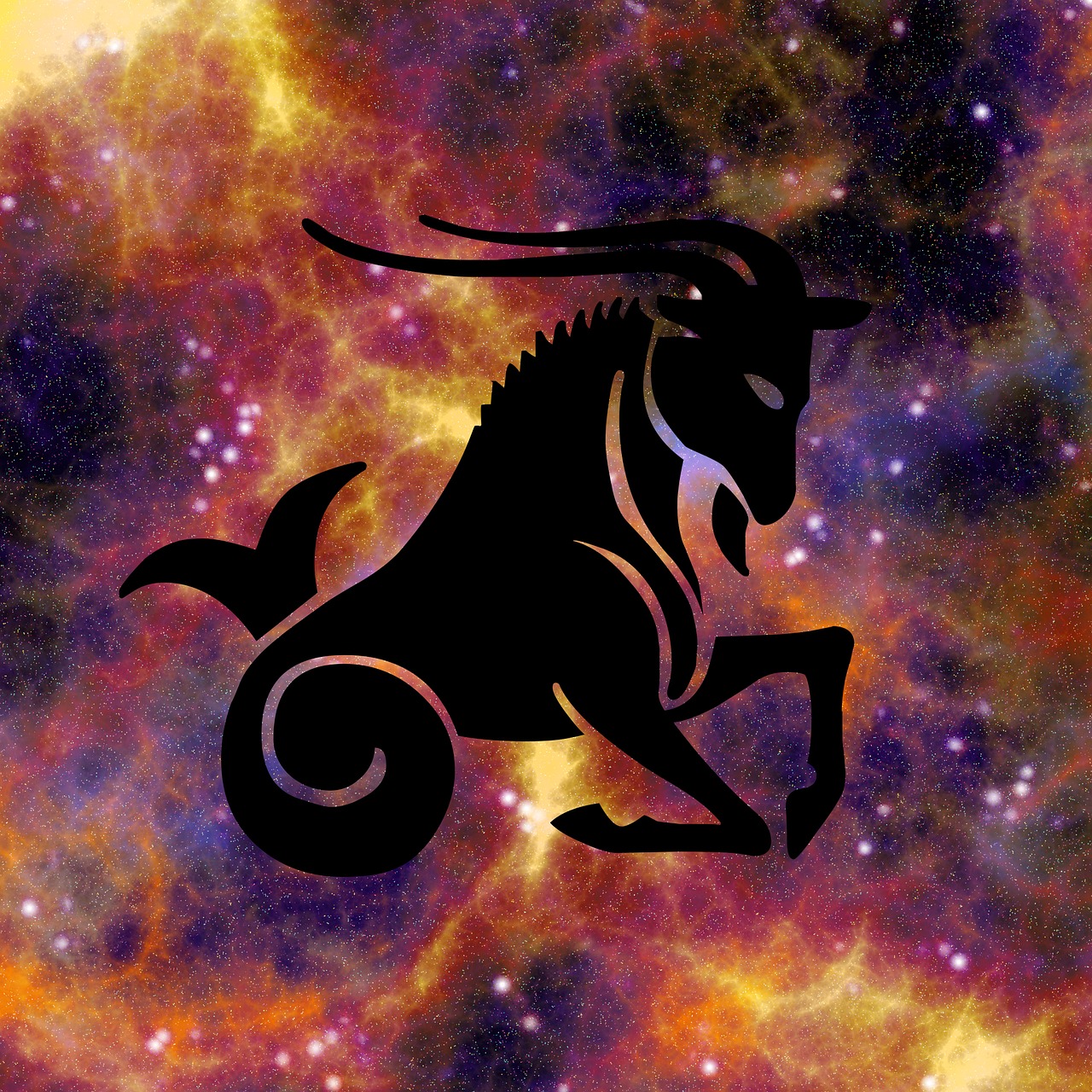 zodiac horoscope astrology free photo