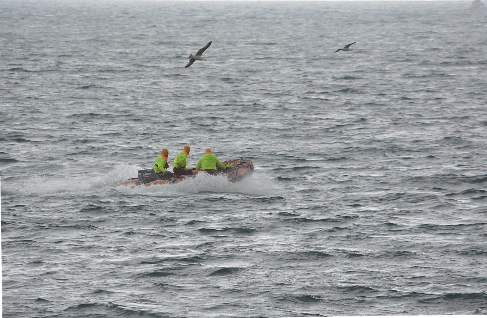 boat zodiac sea free photo