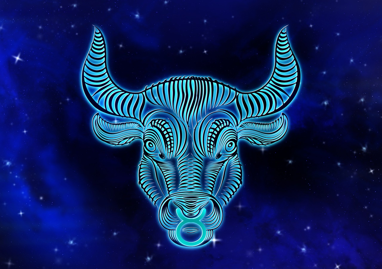 zodiac sign  bull  horoscope free photo