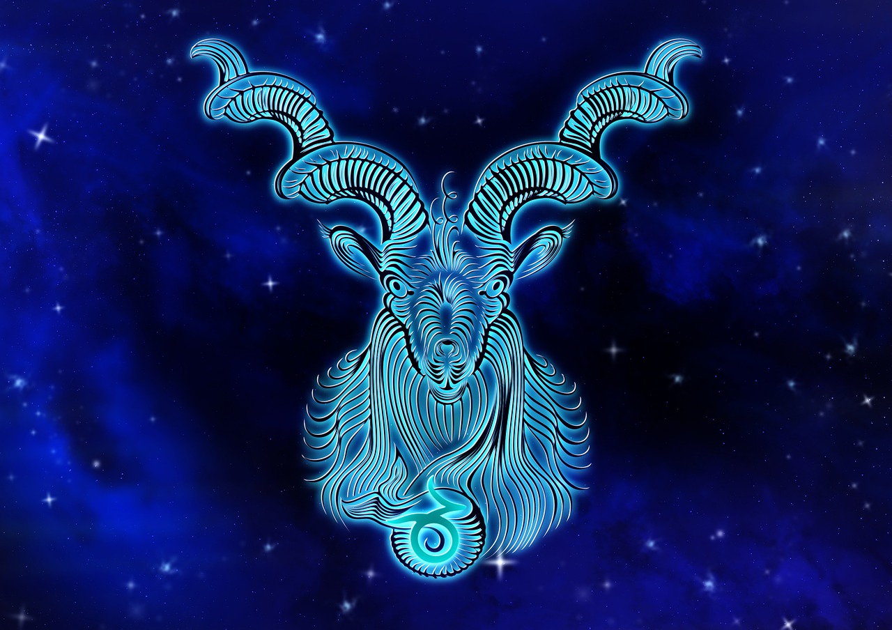 zodiac sign  capricorn  horoscope free photo