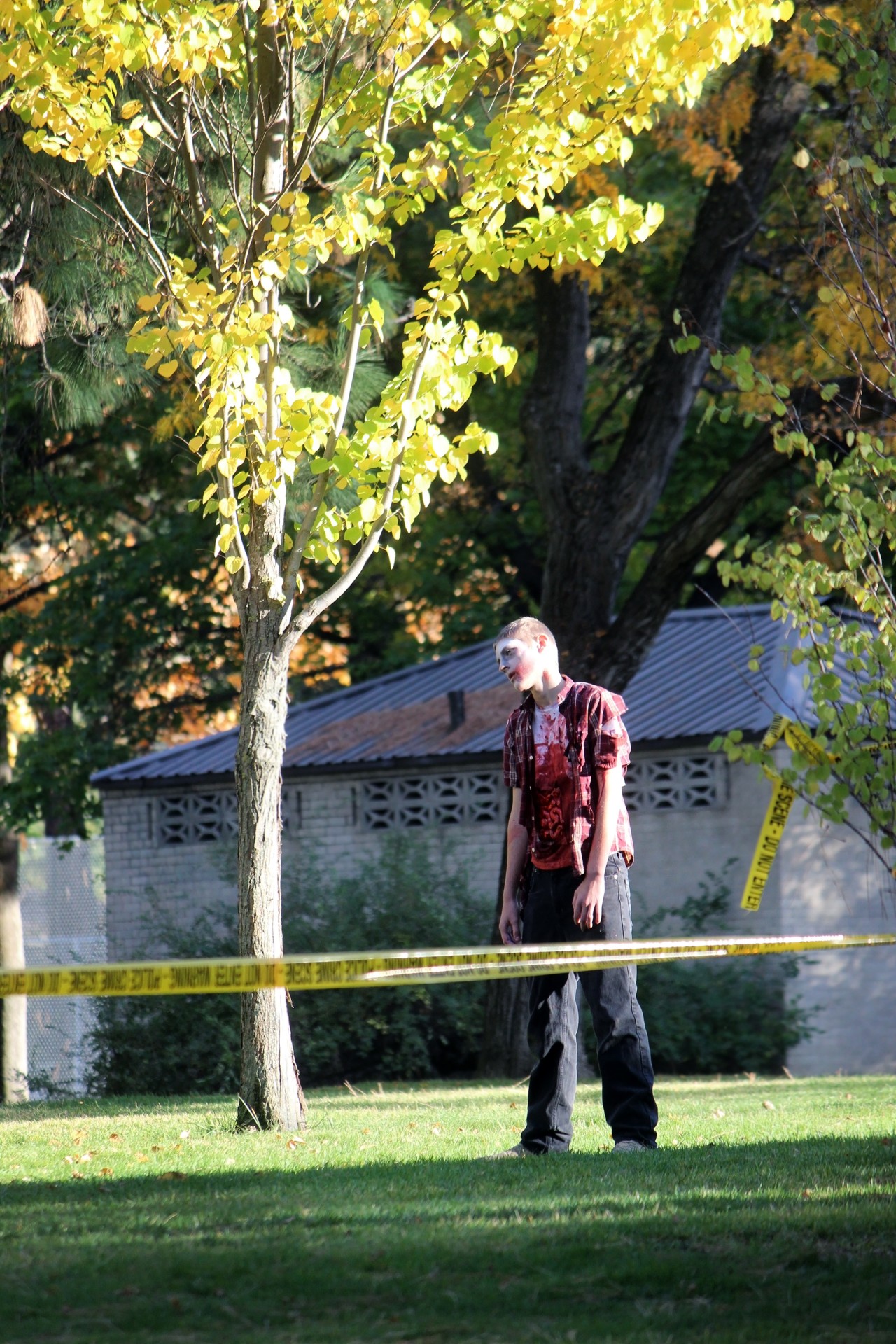 zombie walking dead free photo