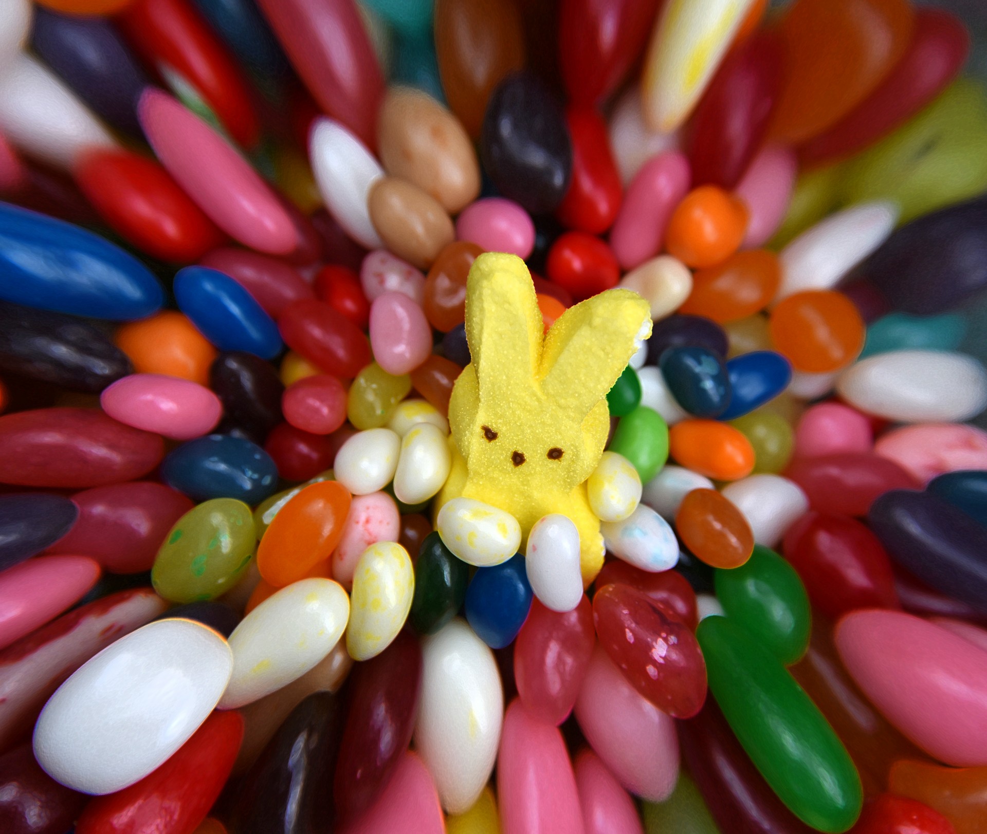 easter bunny candy free photo