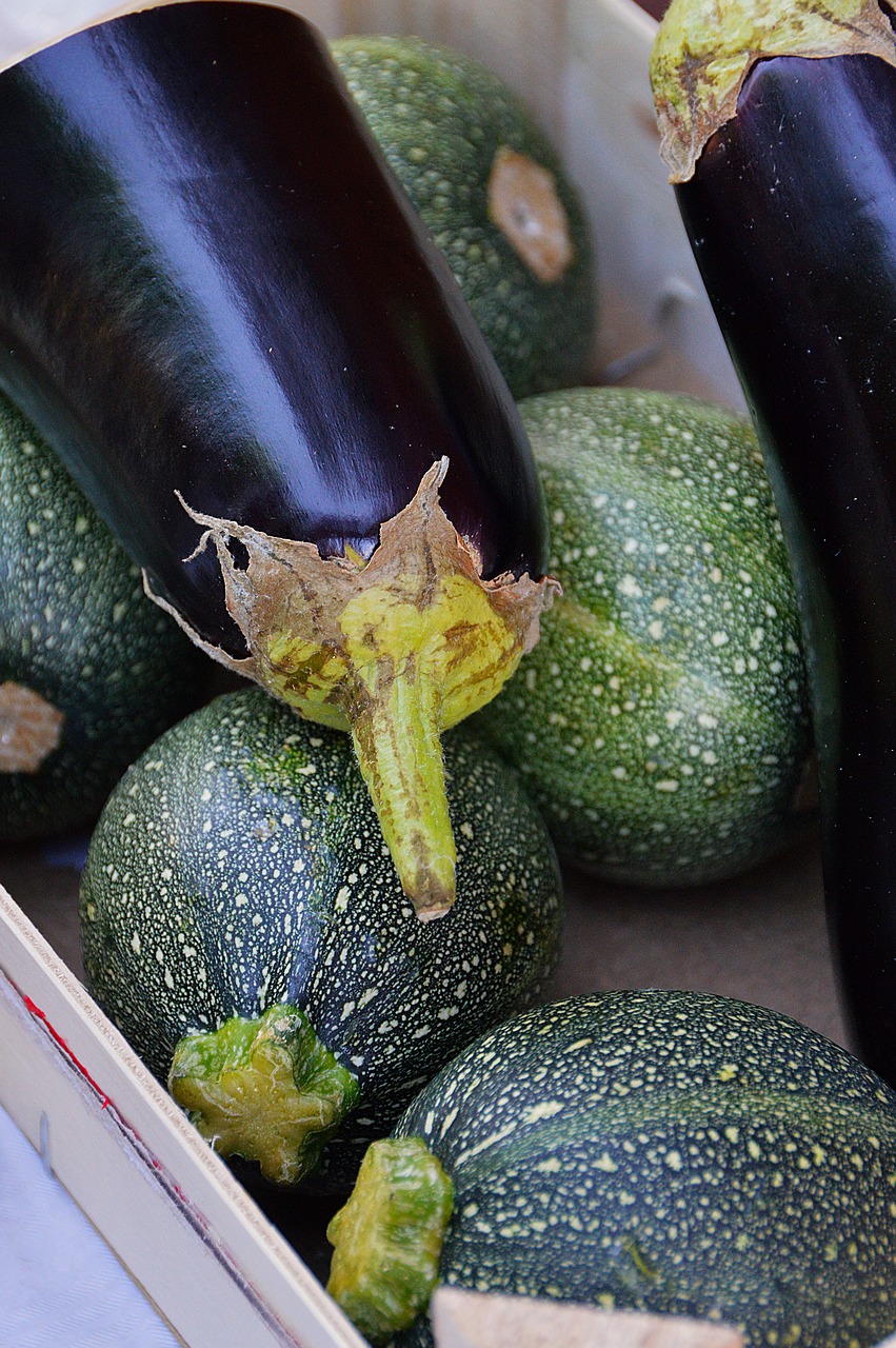 zucchini vegetables green free photo