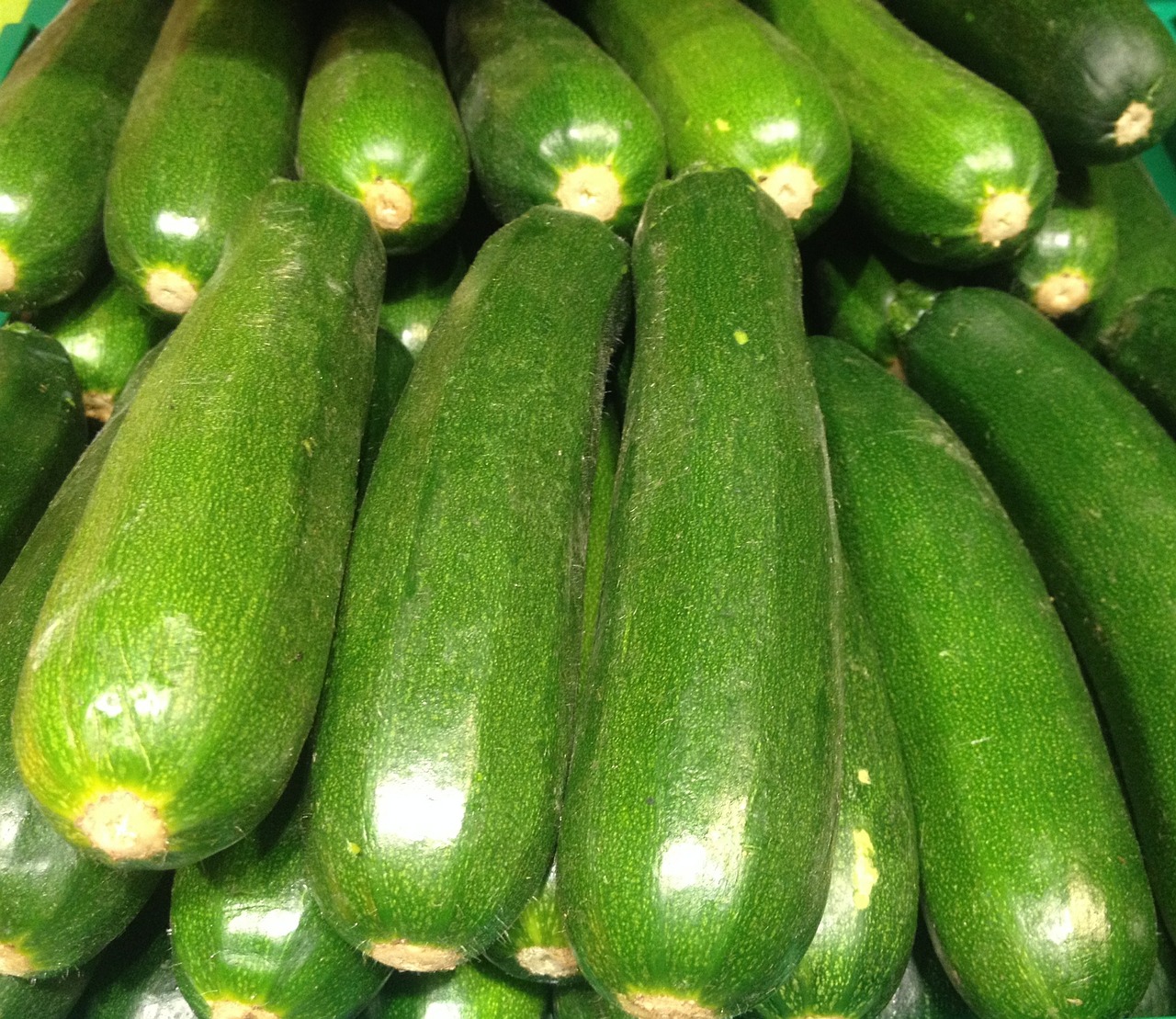 zucchini green vegetables free photo