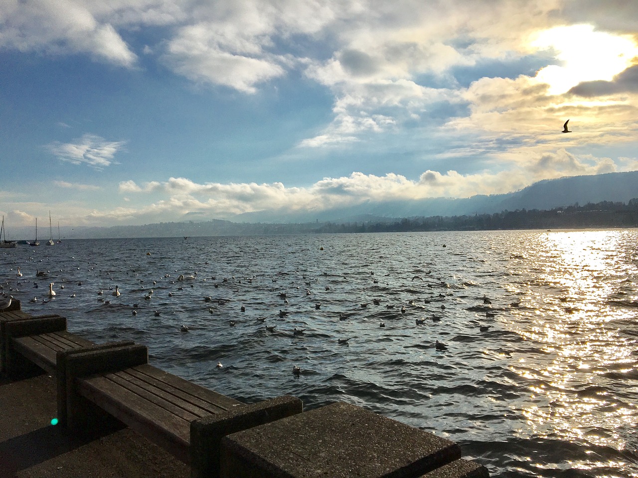 zurich lake water free photo