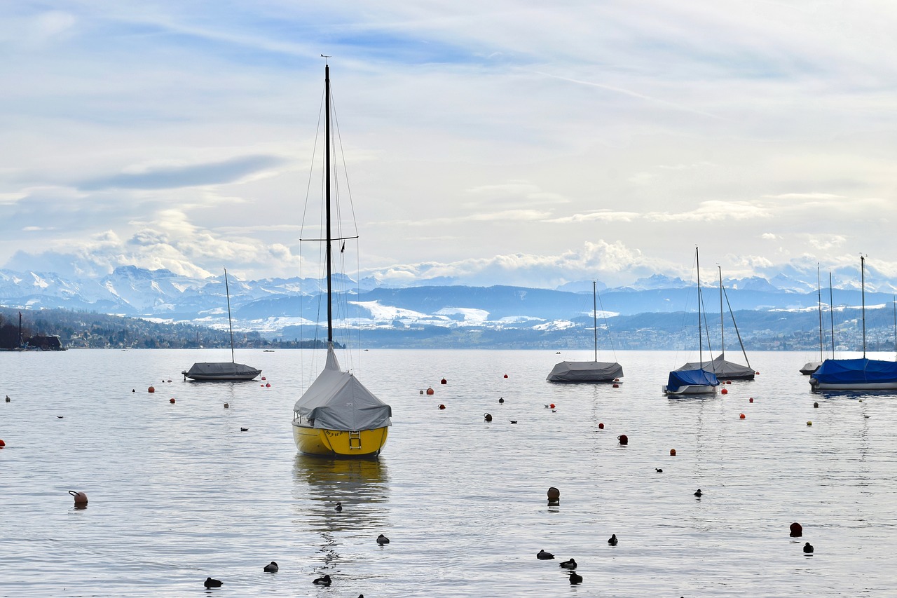 zurich  lake  sailing free photo