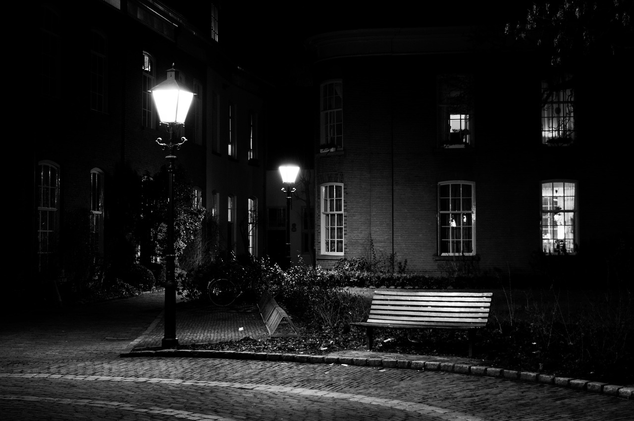 zutphen light dark free photo