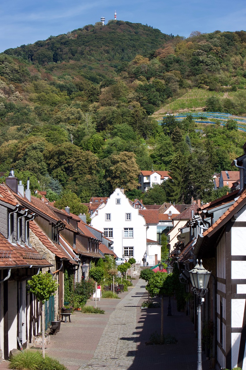 zwingenberg  melibokus  historic center free photo